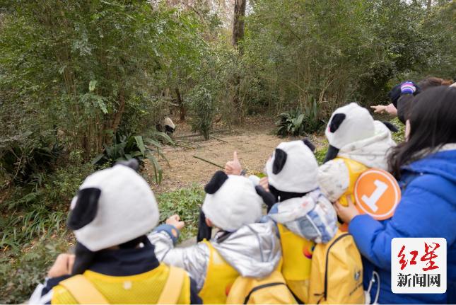 看熊猫、观恐龙……“童心筑梦 研旅成华”亲子研旅公益活动顺利开展