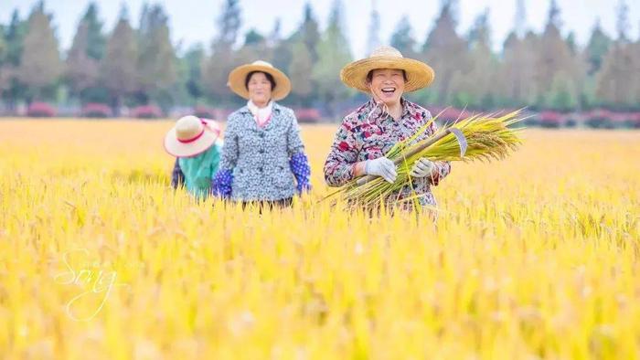 春节假期去哪里玩？首波上海郊游玩法推荐已上线