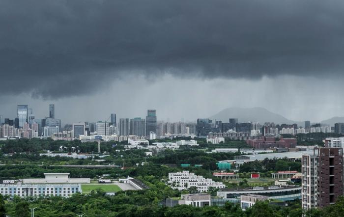 投保的调味品遭暴雨淋湿，损失怎么算？