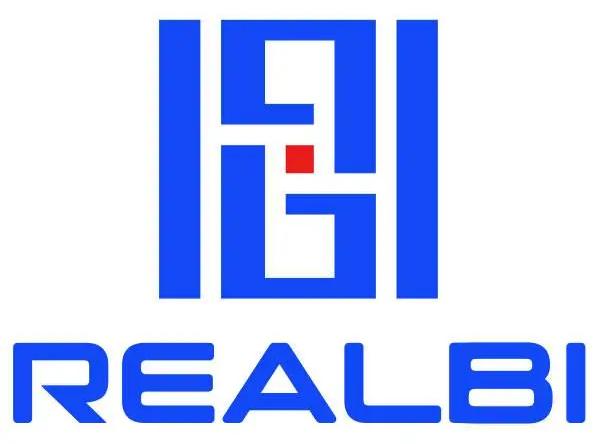 蓄势待发的REALBI，到底是一家做什么的平台？