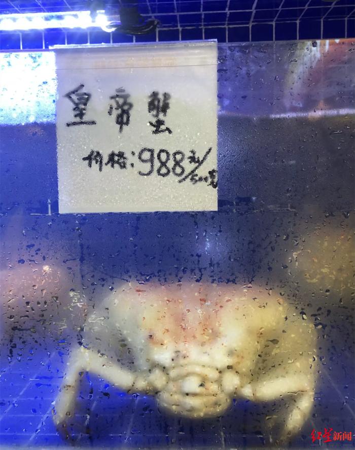 ↑1月14日,三亚某海鲜超市的海鲜价格。图据网友发帖