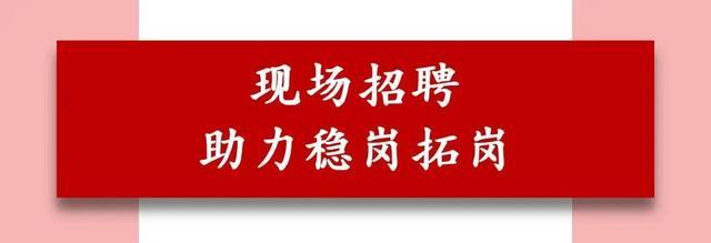 宝山区人社局赴云南省曲靖市开展劳务协作和交流活动