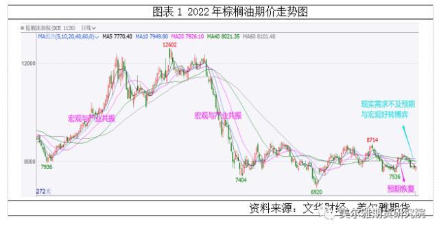 热点解读 | 2022棕榈油上演过山车式行情，带给我们什么启发？