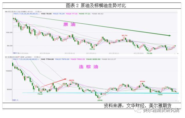 热点解读 | 2022棕榈油上演过山车式行情，带给我们什么启发？