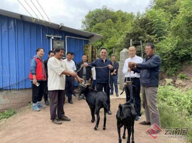 云南省水利设计院为乡村振兴“蓄势赋能”