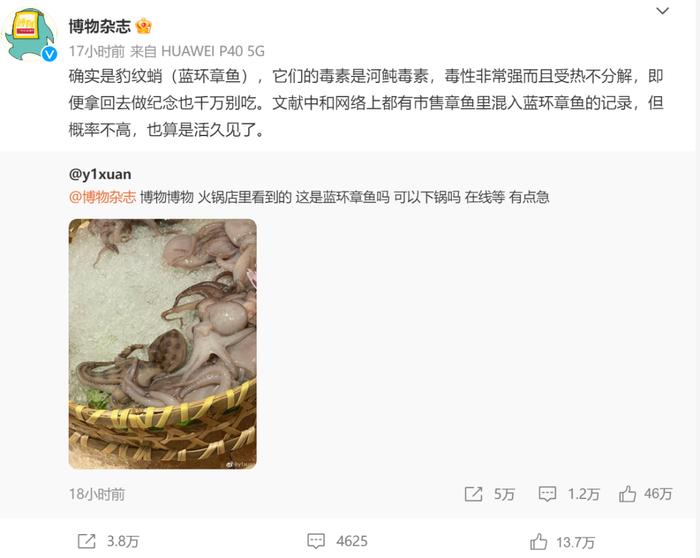 火锅店惊现剧毒章鱼！网友在线请教“可以下锅吗”？躲过剧毒……