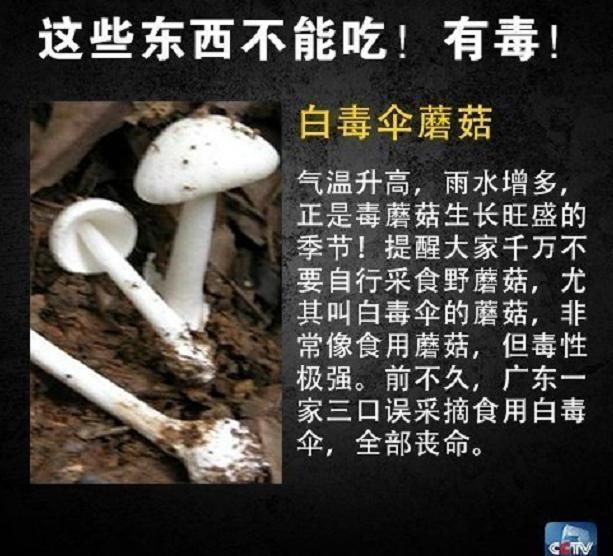 火锅店惊现剧毒章鱼！网友在线请教“可以下锅吗”？躲过剧毒……