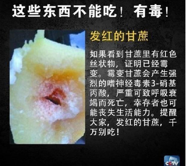 火锅店惊现剧毒章鱼！网友在线请教“可以下锅吗”？躲过剧毒……