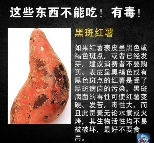 火锅店惊现剧毒章鱼！网友在线请教“可以下锅吗”？躲过剧毒……