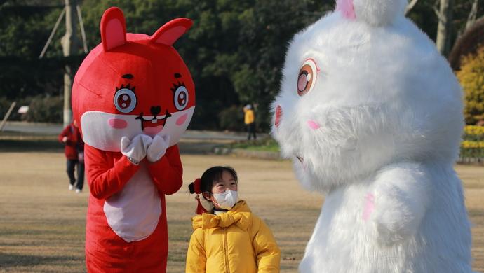 体重赶上五六岁孩子的巨兔，能长出兔耳的多肉，今年公园绿地“兔味”十足