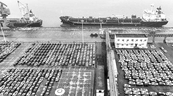 江苏连云港港口码头一批国产小汽车在等待装船出口海外