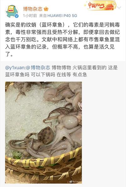 网友吃火锅前发照片躲过剧毒！这10种“天生带毒”生物，千万别吃！