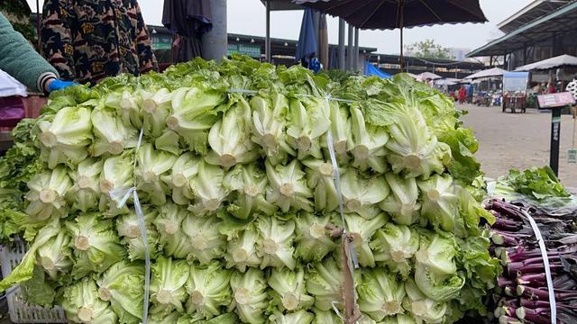 新春走基层｜蔬菜供应充足，砂糖橘、车厘子受欢迎 成都农产品批发市场春节不打烊