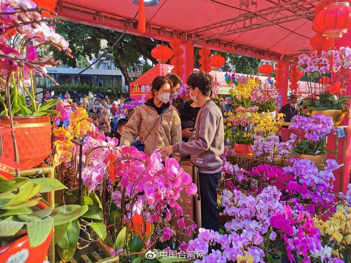 新春走基层 | 深圳老牌迎春花市重开 特色年味中来了台湾味道