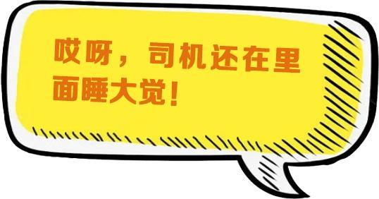 提醒丨抓酒驾的不只有交警，还有“朝阳群众”！