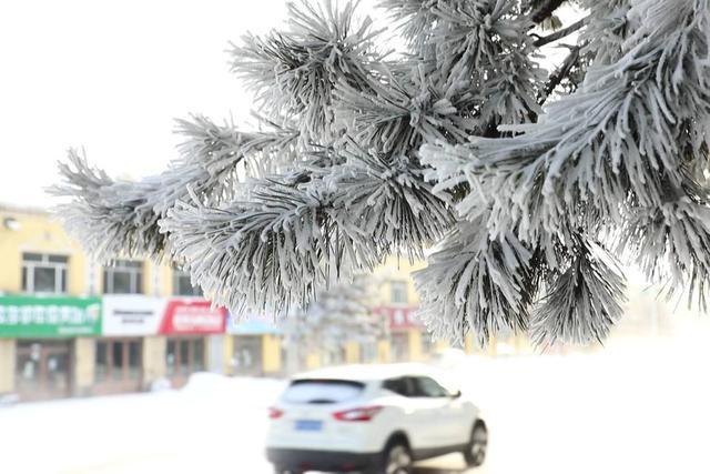 大寒节气-51.9℃！黑龙江漠河迎来1969年冬季后的最低气温