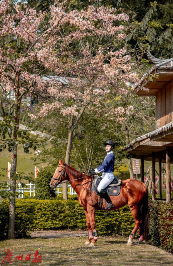 广州花都春节新游玩之旅 | 第三站：南国潮玩之旅