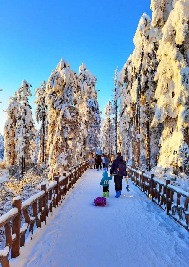 四川洪雅瓦屋山景区再发公告 大年初三预订人数已达上限