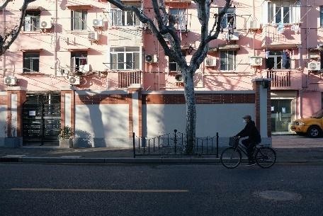 “麻雀虽小，五脏俱全”，这条马路一年四季皆是景