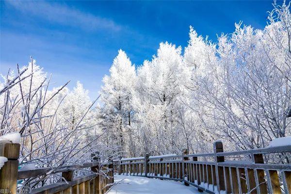 全国乡村旅游精品线路之内蒙古篇——畅游冰雪季，童话阿尔山