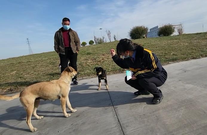 新春我在岗|这对情侣，在中欧班列汽笛声中传递最美情话