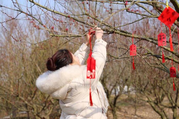 沪郊金山朱泾推出新春版旅游攻略：一天玩不够，天天不重样！