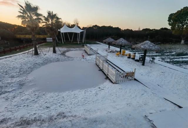 冬日限定惊喜！金山这里“大雪”纷飞，快来赏雪景、堆雪人吧