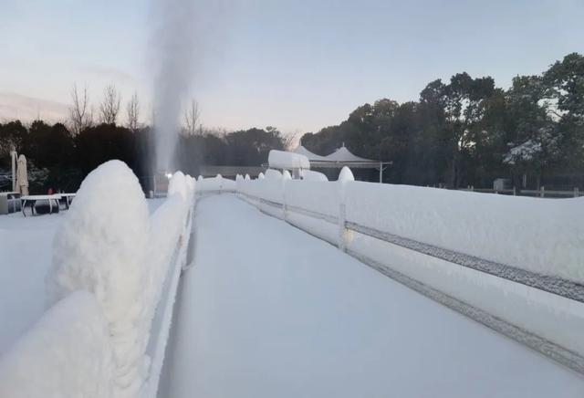 冬日限定惊喜！金山这里“大雪”纷飞，快来赏雪景、堆雪人吧