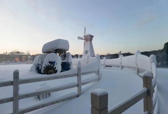 冬日限定惊喜！金山这里“大雪”纷飞，快来赏雪景、堆雪人吧