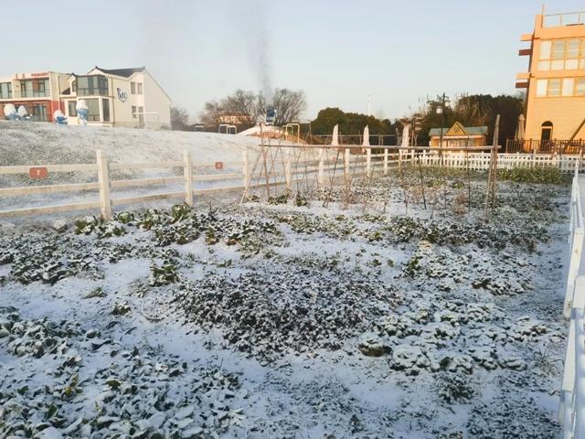 冬日限定惊喜！金山这里“大雪”纷飞，快来赏雪景、堆雪人吧