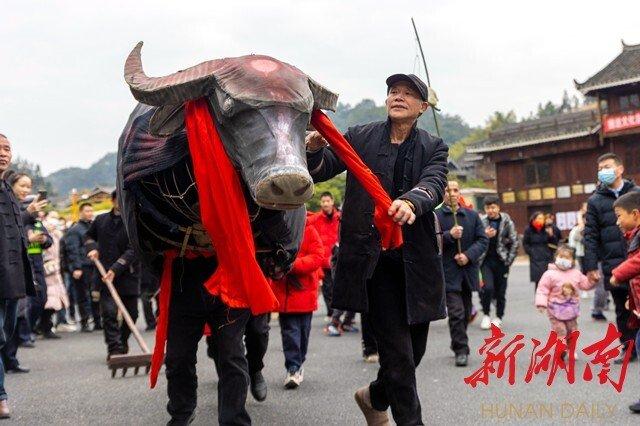 在通道侗寨“吃冬”是一种什么样的体验？点进来带您体验