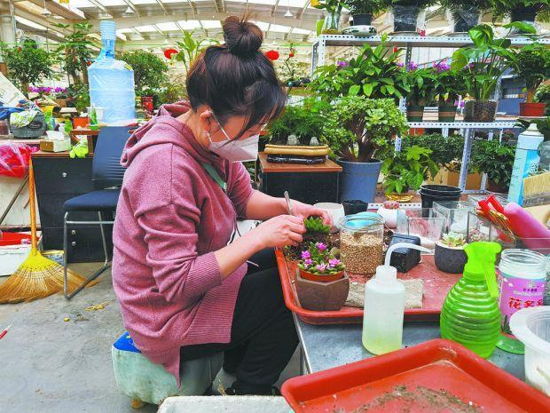 「新春走基层」花博园里春意浓