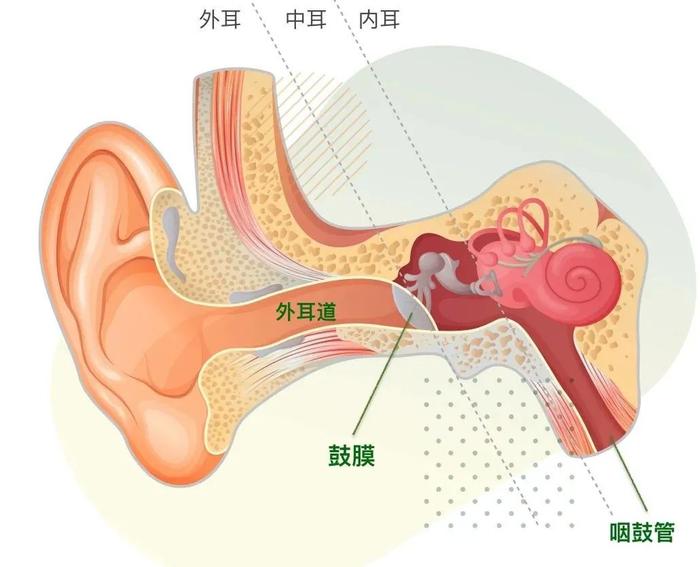 长辈看电视喜欢开超大声，耳朵会不会有什么问题？