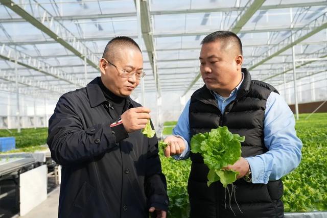 上海崇明蔬菜发展集团是个什么公司