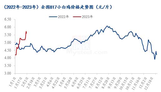 Mysteel解读：节后开工，817小白鸡价格飘红回落