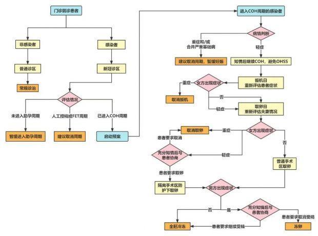 “阳康”后多久可以怀孕？是否影响“试管婴儿”成功率？