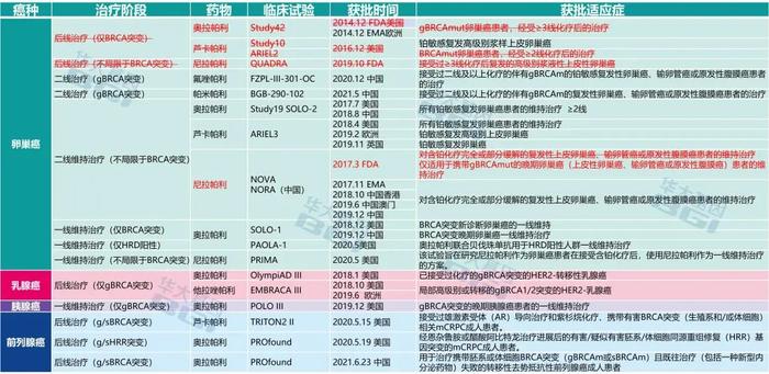 图1:PARP抑制剂药物FDA/NMPA获批适应症
