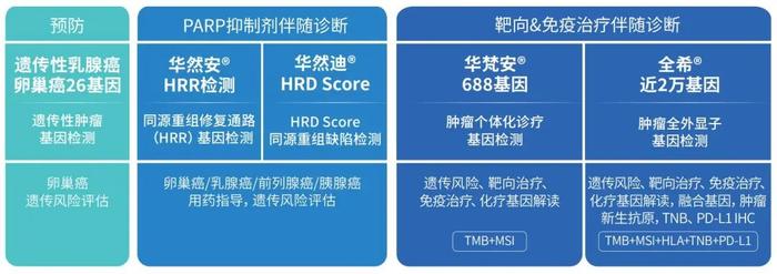 图7:华大基因卵巢癌基因检测整体解决方案