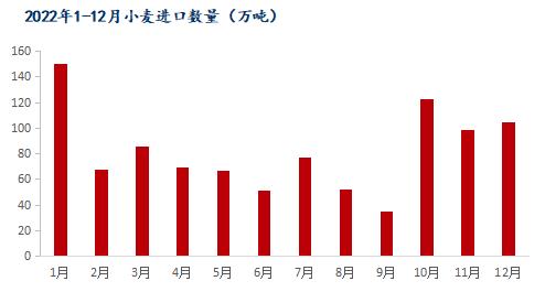 Mysteel解读：12月我国粮食进口现状及玉米替代进口分析