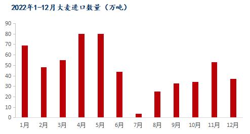 Mysteel解读：12月我国粮食进口现状及玉米替代进口分析