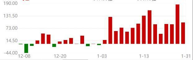 【北向资金流入新能源车情况1.31】