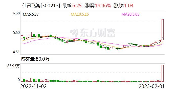 佳讯飞鸿(300213)龙虎榜数据(02-01)