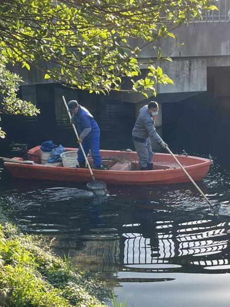 水清、岸绿、河畅、景美！宝山这里河道治理有妙招