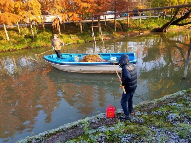 水清、岸绿、河畅、景美！宝山这里河道治理有妙招