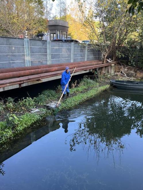 水清、岸绿、河畅、景美！宝山这里河道治理有妙招