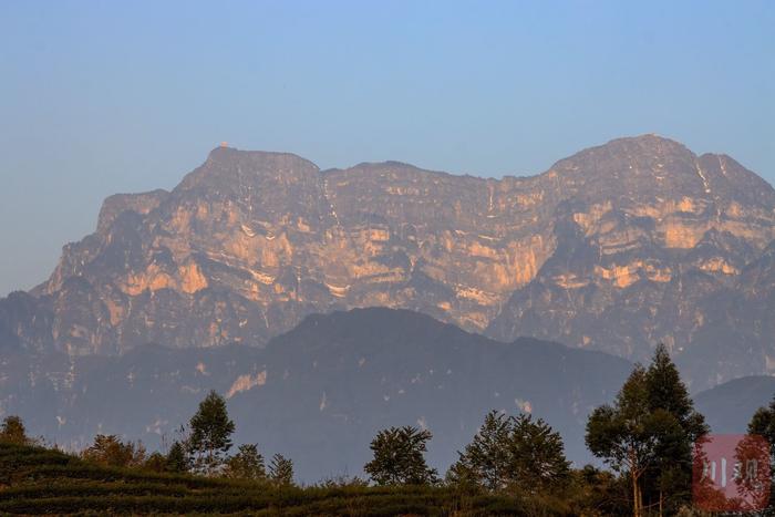 乐山寨子村：望峨眉金顶 赏万亩茶山