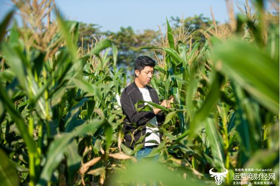 云南“新农人”熊杰：小玉米做成大产业 傣族村寨借力电商走上致富路