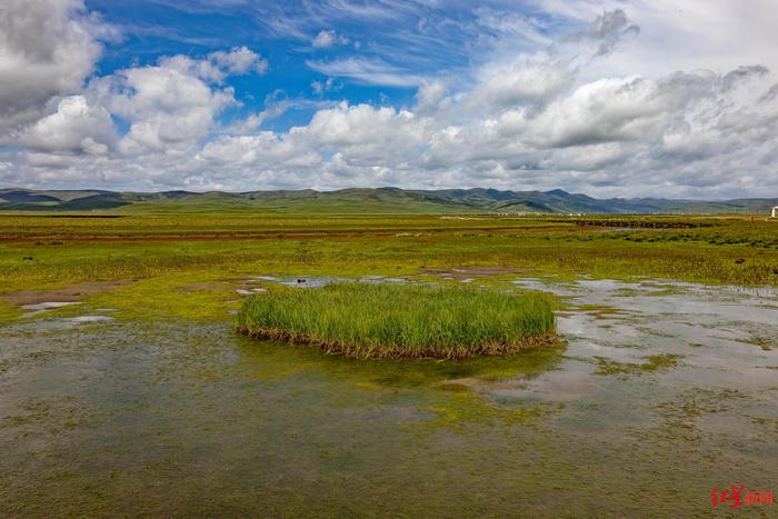 四川色达泥拉坝湿地为何入选国际重要湿地？这份“档案”给出答案