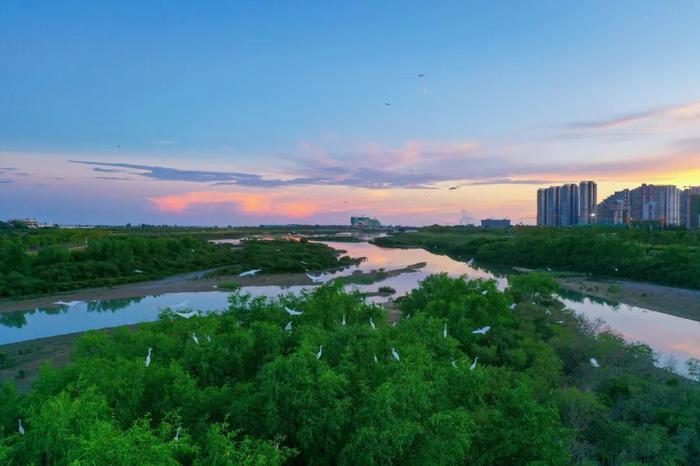 湿地修复怎么做？自然恢复为主，人工恢复为辅