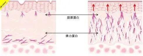 面部松弛、暗沉、有细纹？！试试这款大牌欧莱雅日霜，买一送一，89元抢！